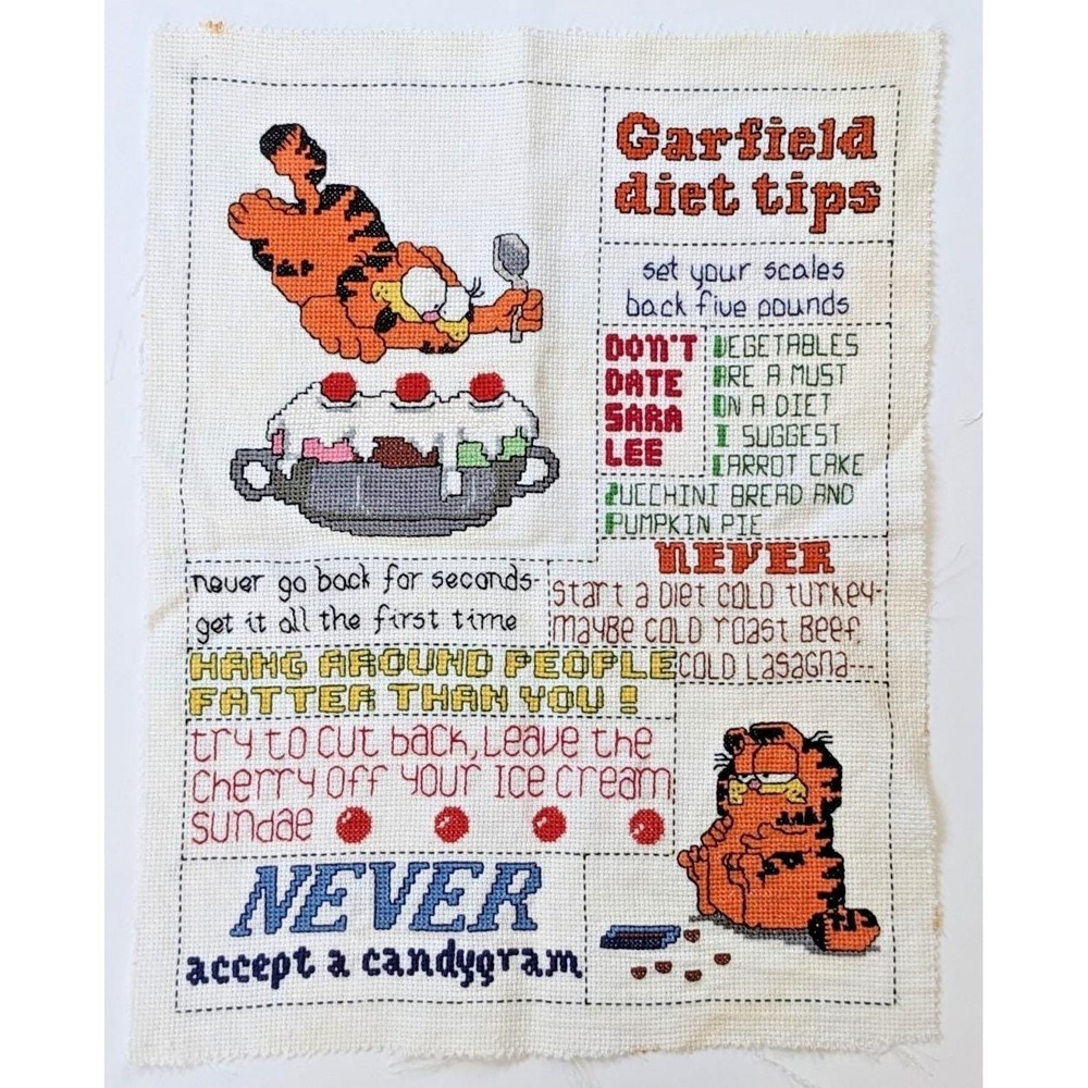 Vintage 1980s Garfield Diet Tips Funny Completed Cross Stitch Unframed 14x18"
